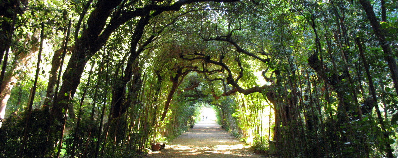 Boboli Garden Florence Italy: Historic Park City Center